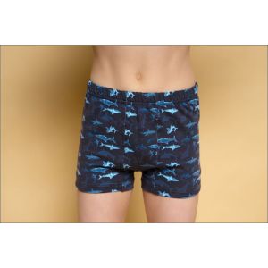 Т-3-121 Боксеры мал