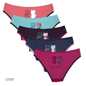 17107 Трусы женские Турция