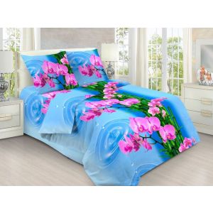 БГ-642 КПБ Бязь  «Viola»