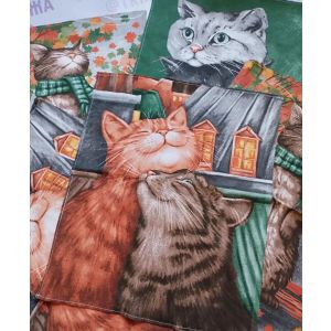 Полотенце Рогожка Купон 50х63