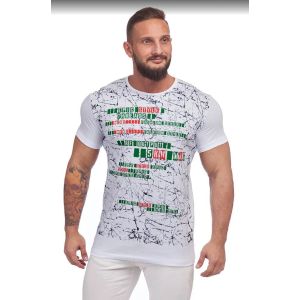 15215  Футболка муж