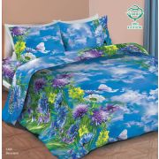 КПБ «Маруся» 1.5 сп. Васильки (1409)