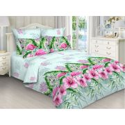 9462 КПБ  Сонвиль