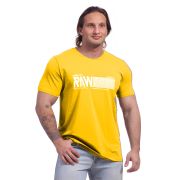 15231 Футболка муж (великан) Glacier