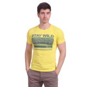 15229 Футболка муж Glacier