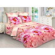 7427 КПБ  Сонвиль