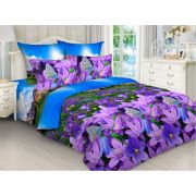 4523 КПБ  Сонвиль