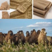 Пряжа «ВЕРБЛЮЖЬЯ»