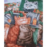 Полотенце Рогожка Купон 50х63