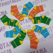 7307 Д-139 Носки дет. Бироб