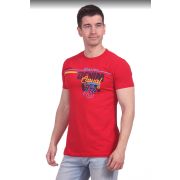 15228 Футболка муж Glacier