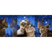 Полотенце ваф. 46*60 НГ